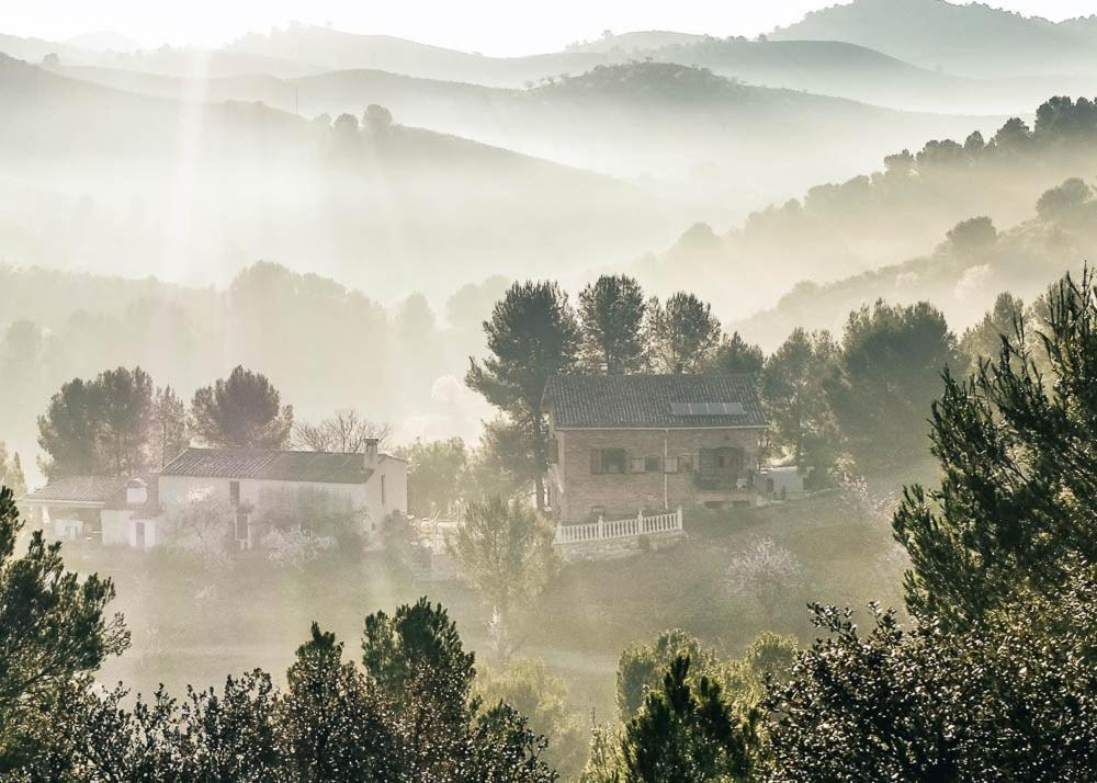 Nature Maitreya Country house