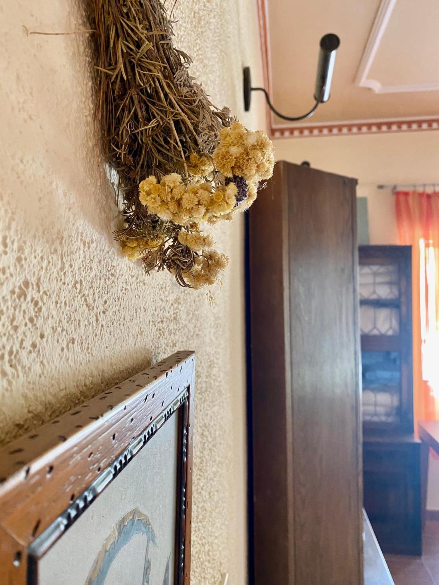 Country house Nature Maitreya